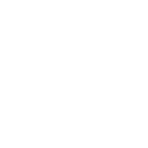 4. Ongoing Technical Support